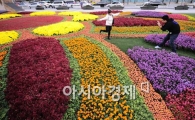 [포토] '가을꽃밭에서 우아하게~'
