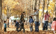낙엽속 뒹구는 '단풍풀장'이 생겼다구?