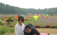 항동 수목원 예정지서 산촌문화제 열려 