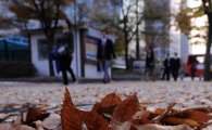 [포토] 낙엽 소폭히 쌓인 출근길