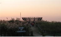 [서울서울인]하늘공원 전망대 '노을을 담다'