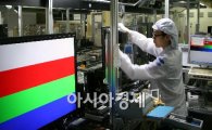 삼성전자 TV용 LCD 패널 월판매 400만대 돌파 