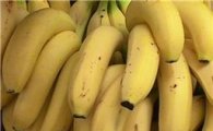EU-남미, 16년 '바나나 전쟁' 끝이 보인다