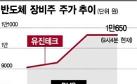 반도체장비주 웃음꽃 활짝 폈네