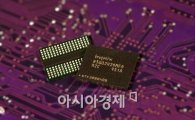하이닉스, 40나노 2Gb DDR5 세계최초 개발