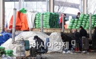 [포토] '폭설대란' 채소 값 폭등 