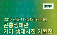'거미 생태사진전' 열린다
