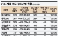 中企 키코 악몽 벗어났다
