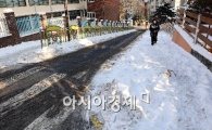 [포토] 온통 빙판길인 강남!