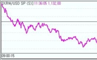 원·달러 1130원선 강한 경계감.."관망세"