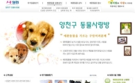 애완동물 무료 분양!