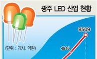 [긴급점검 세종시 후폭풍] 1. 광주 LED 산업
