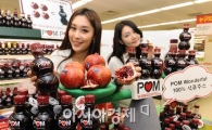 [포토] 인공 첨가물이 없는 '팜 원더풀'