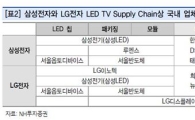 탄탄한 실적 + 신성장 아이템 LED株 '반짝반짝'