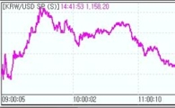 '주가 1600선 붕괴'에 원·달러 1150원대 후반 상승