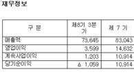 [사이버고수의 클릭 e종목]  청담러닝