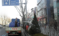 관악구, 도로변 수목 세척 중 