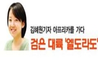"남아공의 대한전선!" 미지의 대륙 빛의 전진기지로