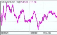 원·달러 한달만에 최고 종가.."소강국면"