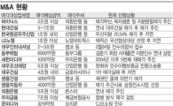 내팽개친 M&A 탈출구가 없다