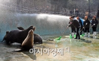 [포토] 서울동물원 봄맞이 대청소!