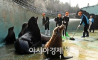 [포토] 바다사자 집 청소하는 날!