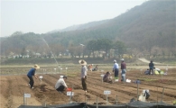 서대문구, “주말농장 농사 시작하세요 ”