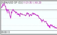 원·달러 1160원대 치열한 공방.."월말 효과"