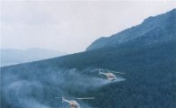 바닷가 소나무 숲 헬기로 항공방제 