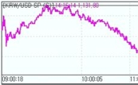 원·달러 1130원 공방.."디지털옵션 배리어+개입경계"