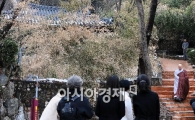 [포토] 법정스님 모셔진곳 바라보는 신도들!