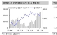 [증시전망]악재의 소멸과정