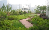 강동구, 건물 옥상 푸른 공원으로 만든다