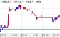 채권베어스팁..장중 변동성확대