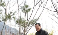 내 손으로 나무를 심고 가꾼다