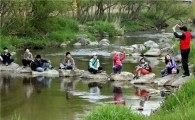 서초구, "양재천 생태탐사 교실 참가하세요"