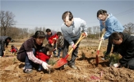 [포토]잣나무 묘목 심는 SK임업 임직원