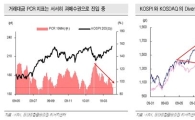 [증시전망]국내증시의 두가지 약점