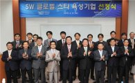 [포토]토종 소프트웨어기업 육성 발대식 개최