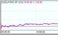 "외환당국 구두개입"에 원·달러 1110원대 급등