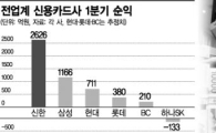 전업계 카드사 1분기 장사 잘했다