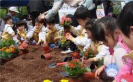 서초구청광장서 꽃 한마당 축제 열린다