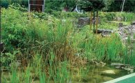 [마니아]<조경실무⑦>정원에 생동감을…연못-분수