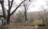 도봉동 '명품 보호수' 생육 환경 개선