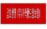 사고, 질병 구분 없이 3억 사망보험금 정액으로 보장하는 ...