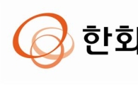 [석유화학, 사업다각화 바람]한화케미칼, 2015년 매출 9조원
