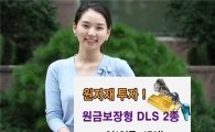 신한투자, 원자재에 투자하는 원금보장 DLS 2종 출시