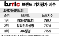 [그래픽뉴스]ING생명보험, 외국계생명보험 브랜드 1위