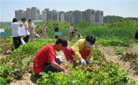 ‘장애인 더불어 서 농장’ 첫 농산물 수확