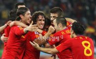 [월드컵]스페인-네덜란드, 결승 격돌...첫 우승 도전